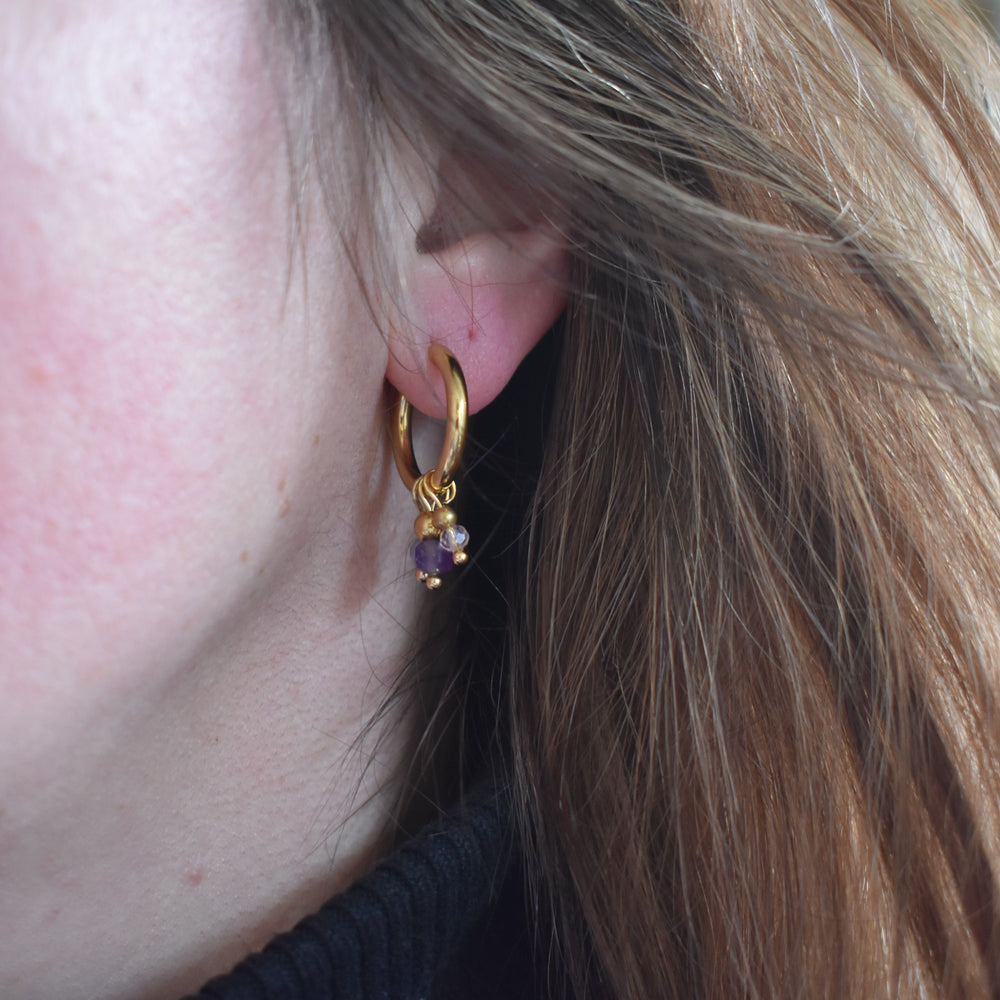 Paarse oorbellen hangers