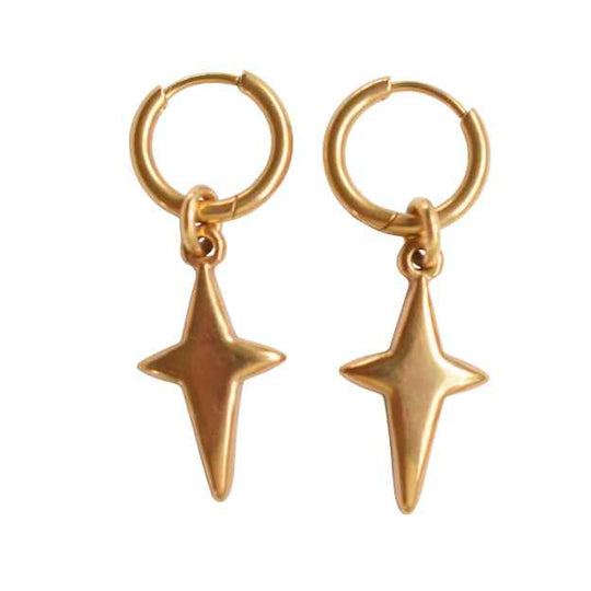 stainless steel oorbellen ster